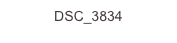 DSC_3834